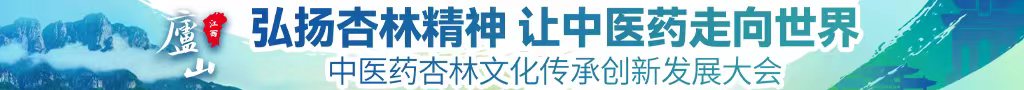 鸡巴操逼国产中医药杏林文化传承创新发展大会